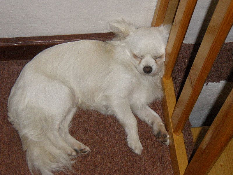Andy na stránky 6.jpg